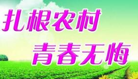 大學(xué)生村官選調(diào)生是公務(wù)員嗎？村官選調(diào)生和選調(diào)生什么區(qū)別？有編制嗎？